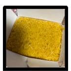 Best Plain Fried Rice 净炒饭 in Troy, NY